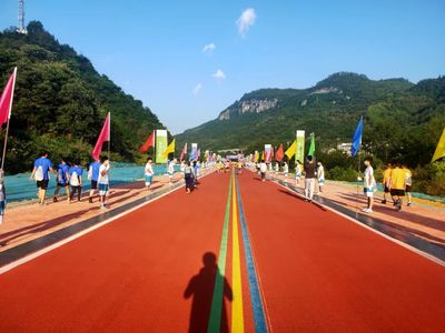 銅仁鄉村振興產業帶技術咨詢 賦能鄉村發展新引擎